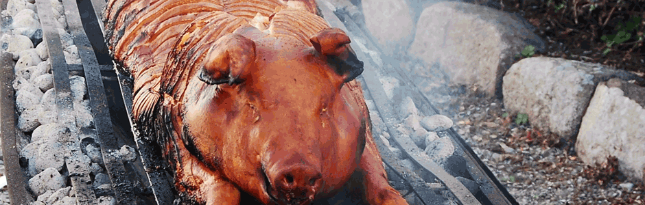 Forsidebanner Helstegt pattegris og grillcatering. Amager, Dragør, København, Sjælland. Høj kvalitet. Udlejning af grill. Virksomhed og event. DHL stafet.